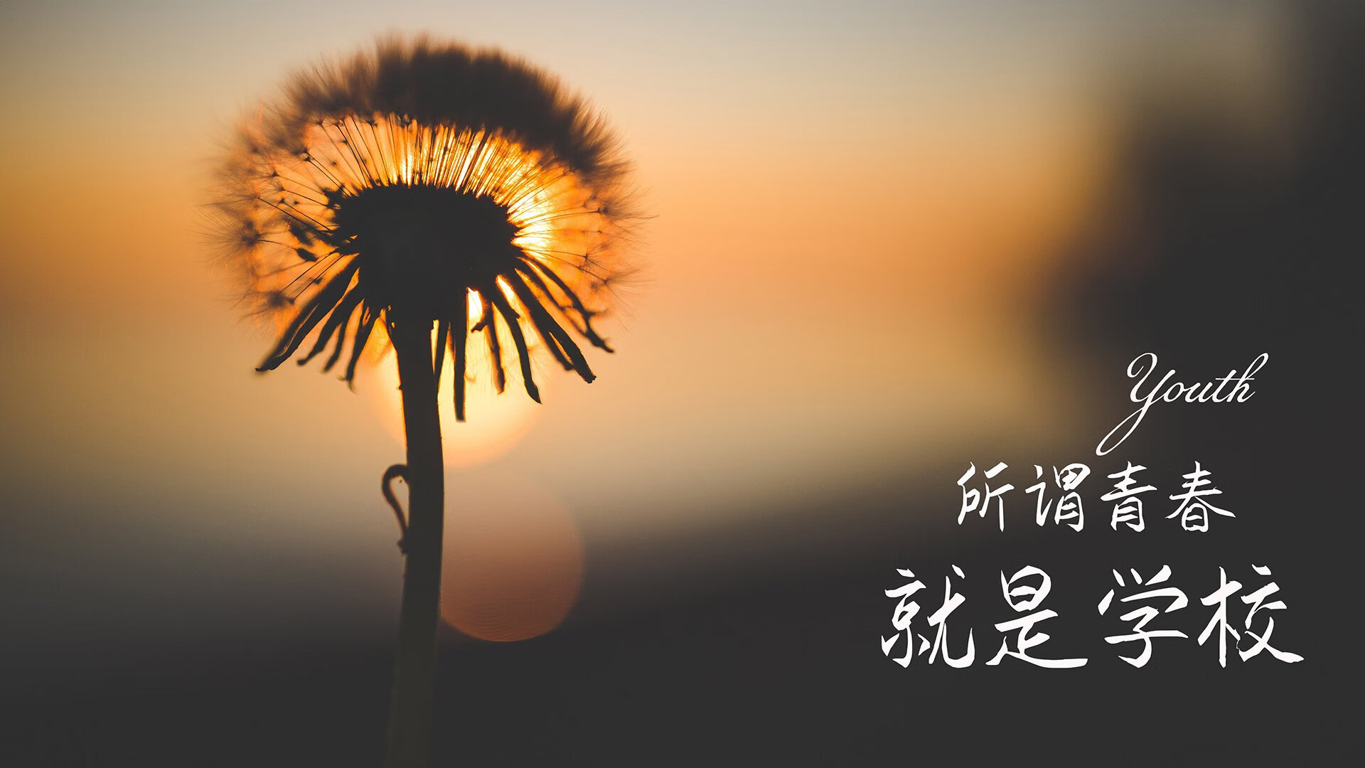 “足球场馆智能化改造助力赛事精彩纷呈”，创意足球场馆