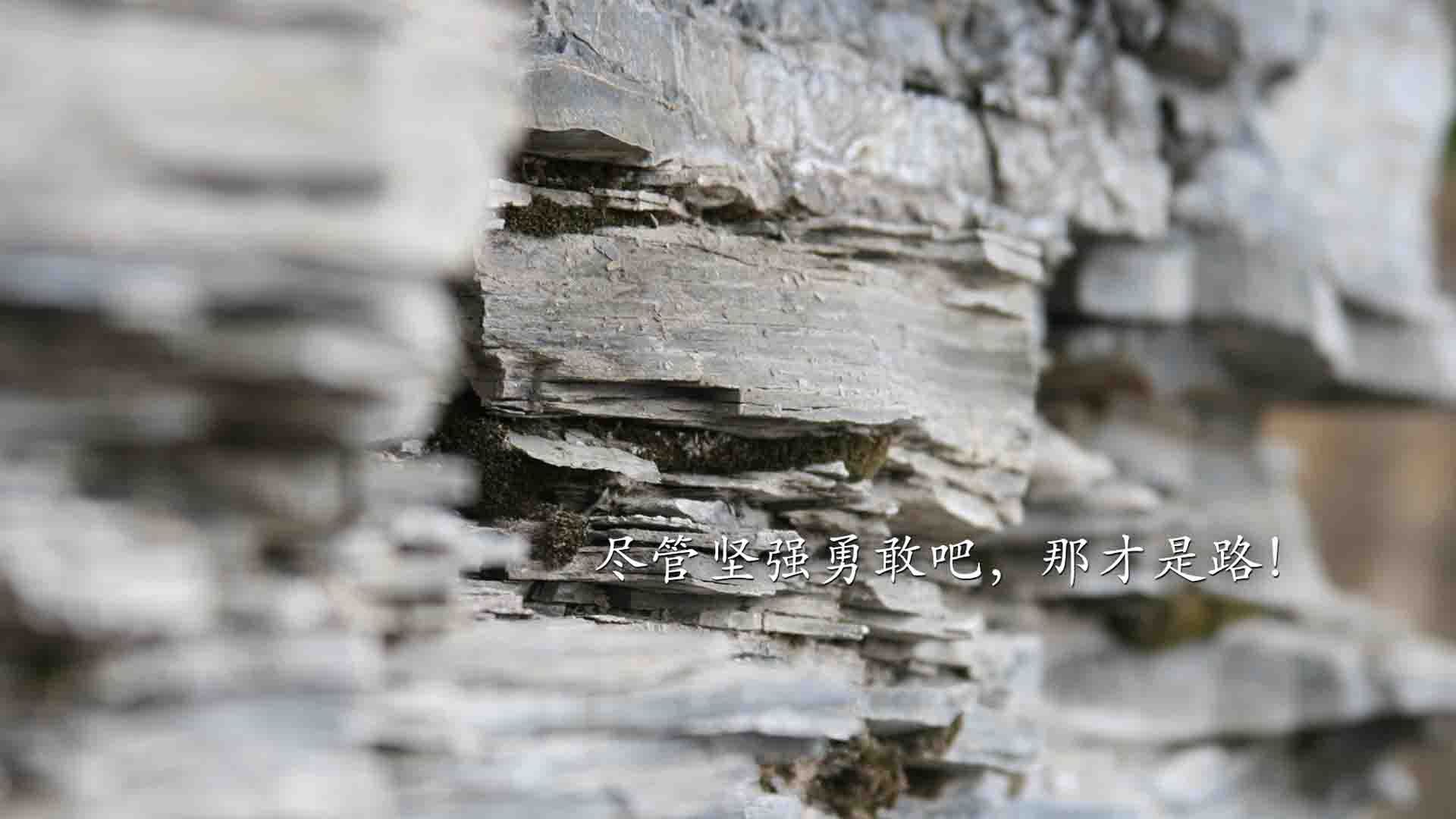 各俱乐部加快校园足球合作步伐，足球俱乐部与学校合作计划