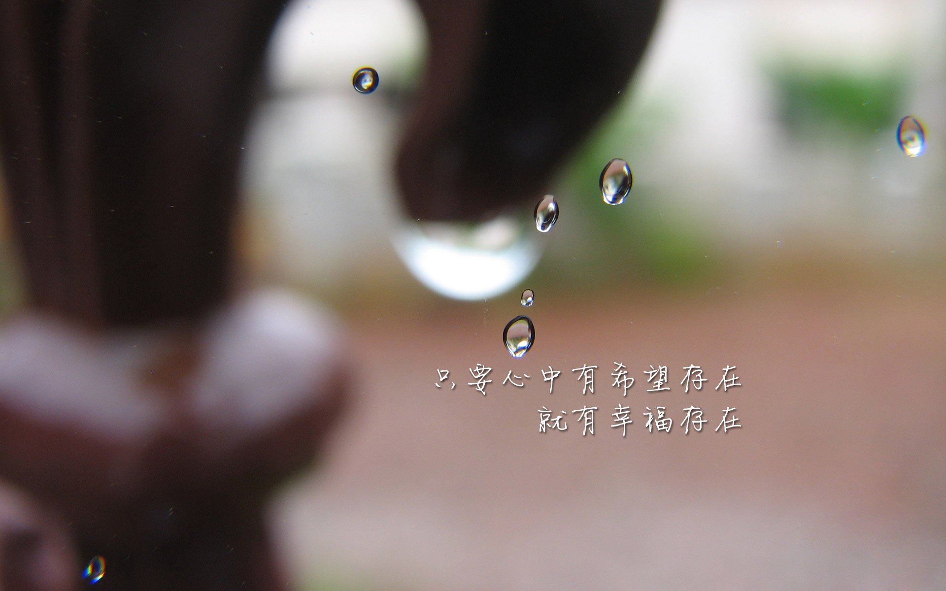kaiyun网站-森林狼组织球迷夜骑，宣传环保出行，森林狼kg