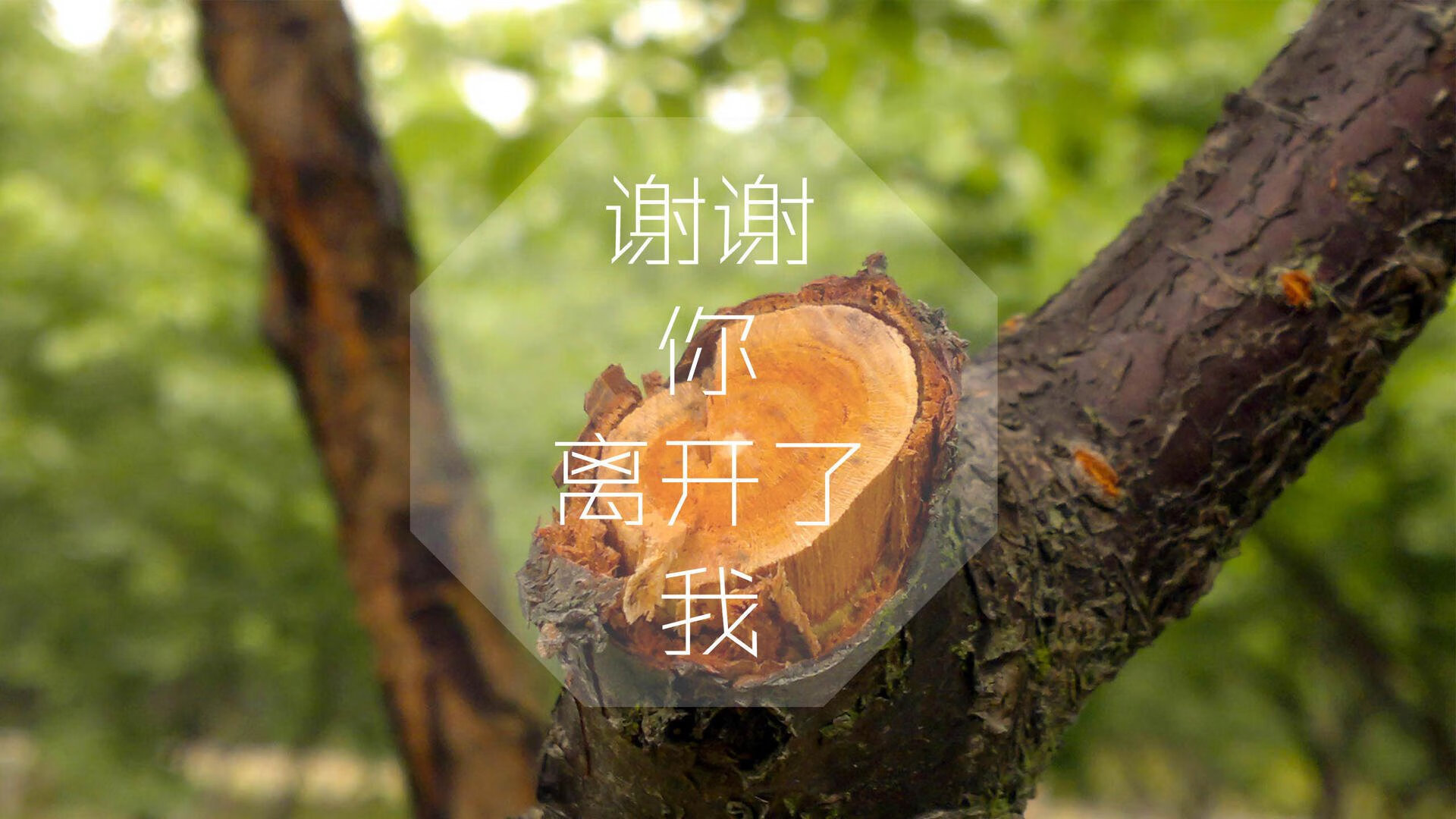 高级别赛事的幕后策划，赛事策划是做什么的