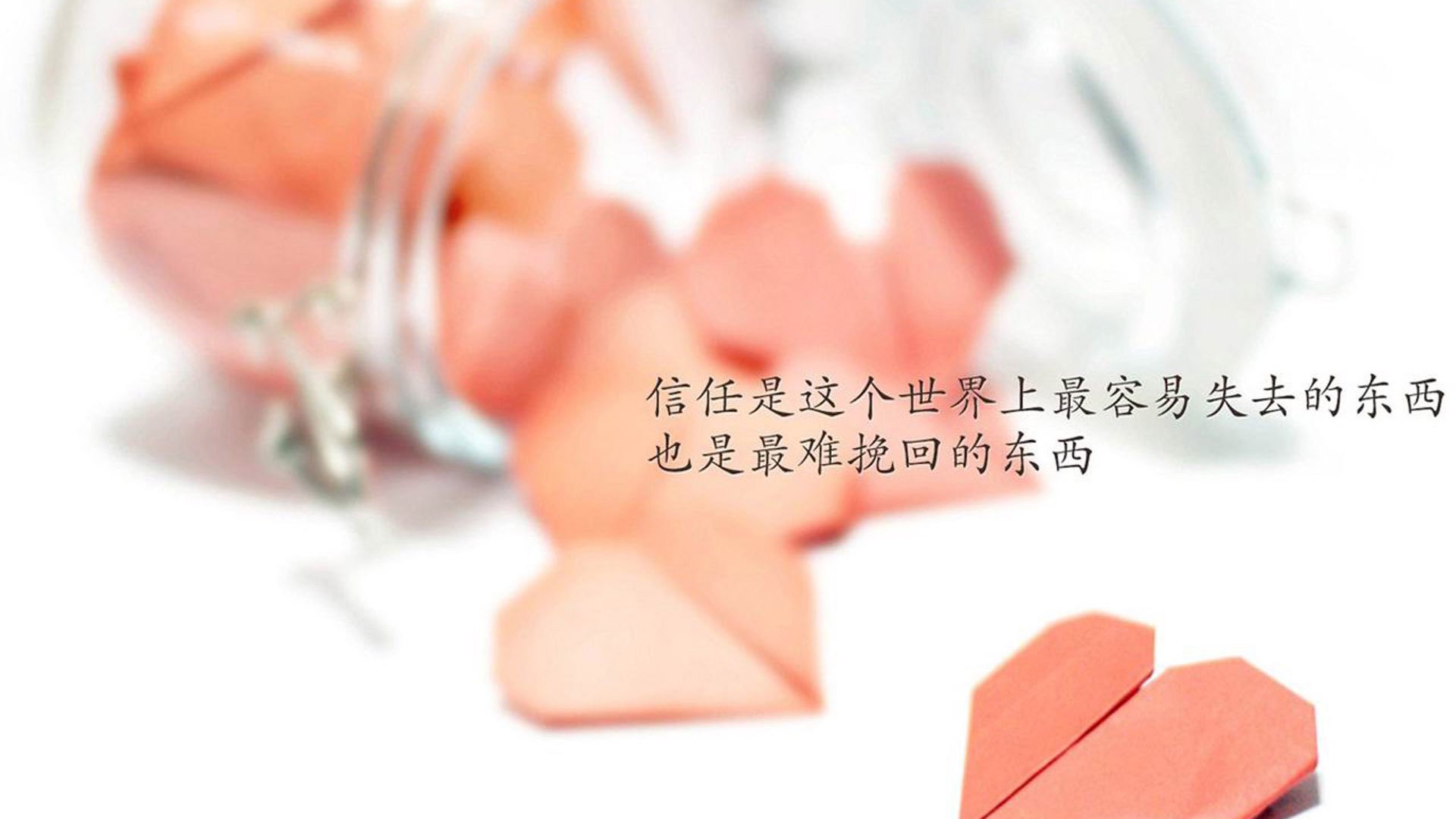 KPL裁判团队举办职业素养专题讲座，kpl世冠裁判小姐姐